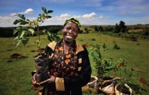 Sustainable Development Goals