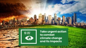 Sustainable Development Goals
