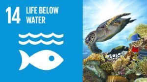Sustainable Development Goals
